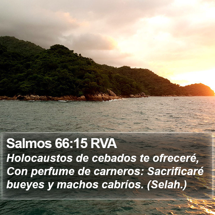 Salmos 66:15 RVA Bible Study