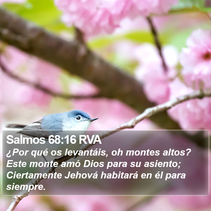 Salmos 68:16 RVA Bible Study