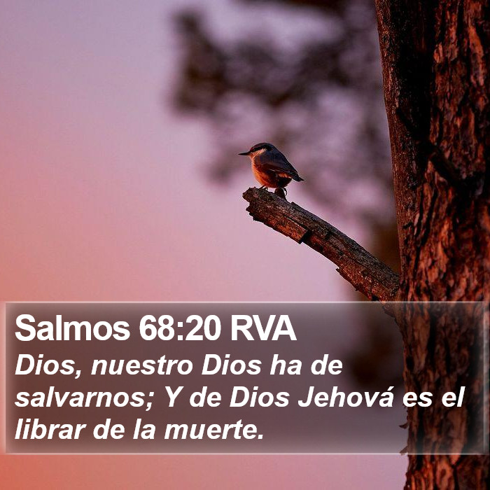 Salmos 68:20 RVA Bible Study