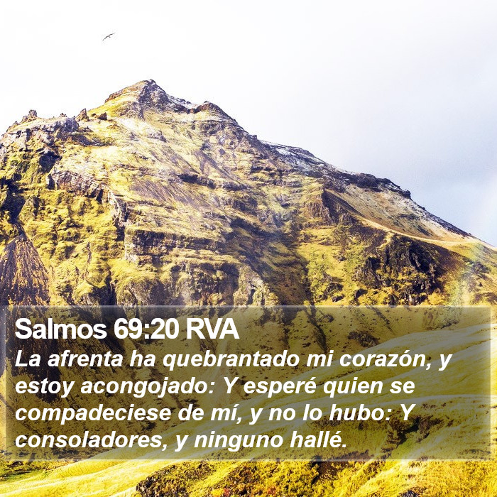 Salmos 69:20 RVA Bible Study