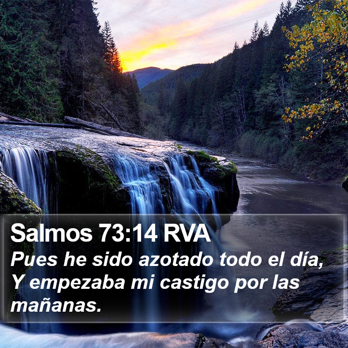 Salmos 73:14 RVA Bible Study