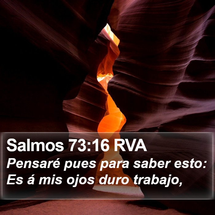 Salmos 73:16 RVA Bible Study