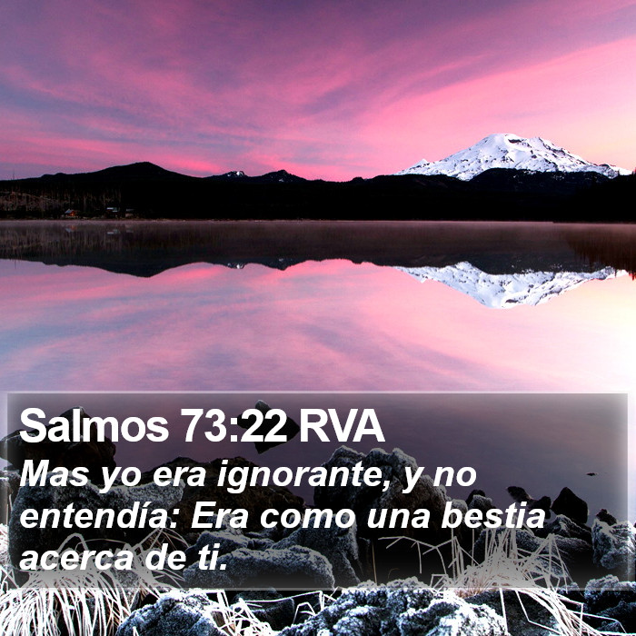 Salmos 73:22 RVA Bible Study