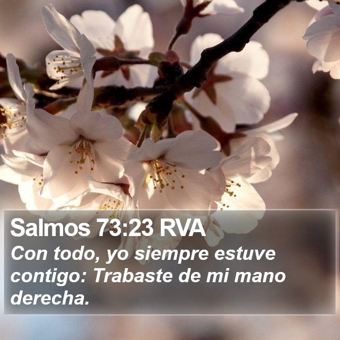 Salmos 73:23 RVA Bible Study