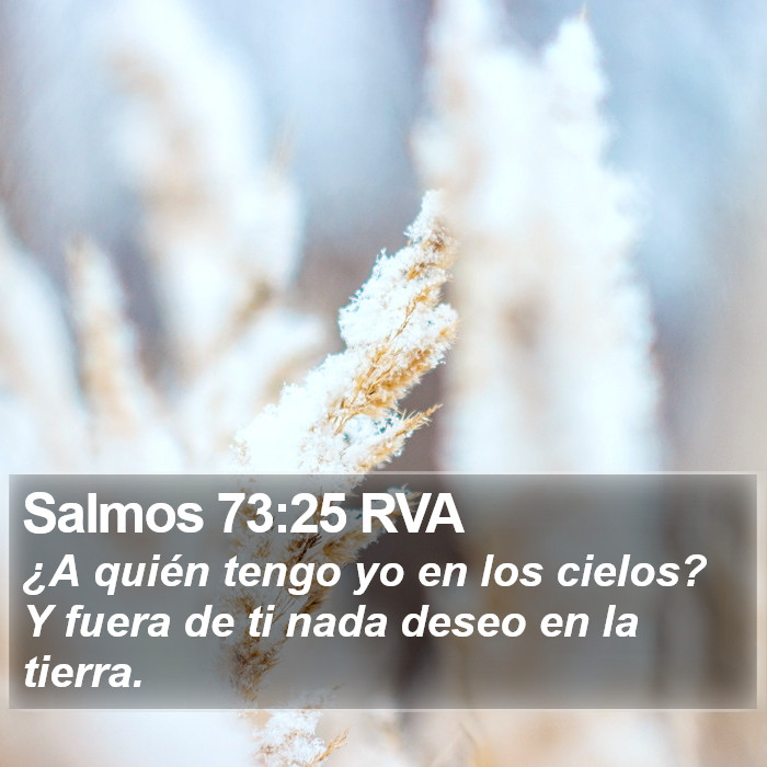 Salmos 73:25 RVA Bible Study