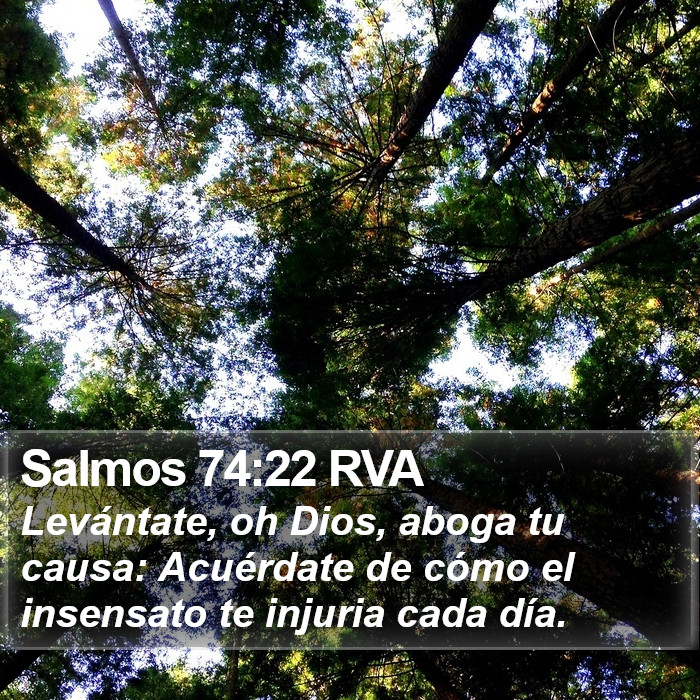 Salmos 74:22 RVA Bible Study