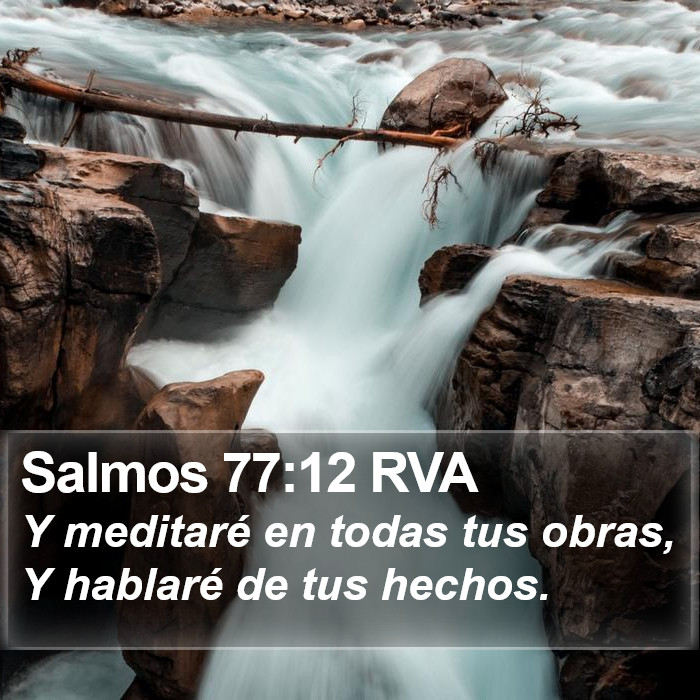 Salmos 77:12 RVA Bible Study