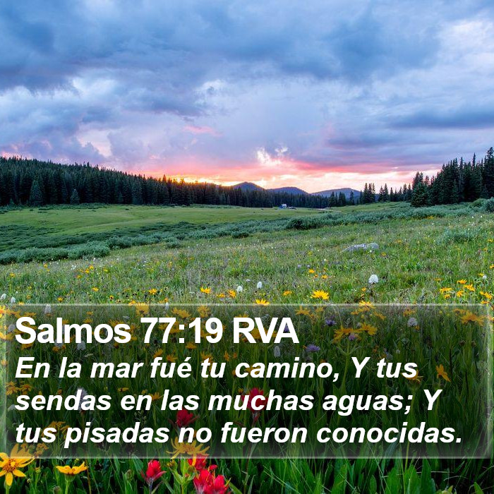 Salmos 77:19 RVA Bible Study