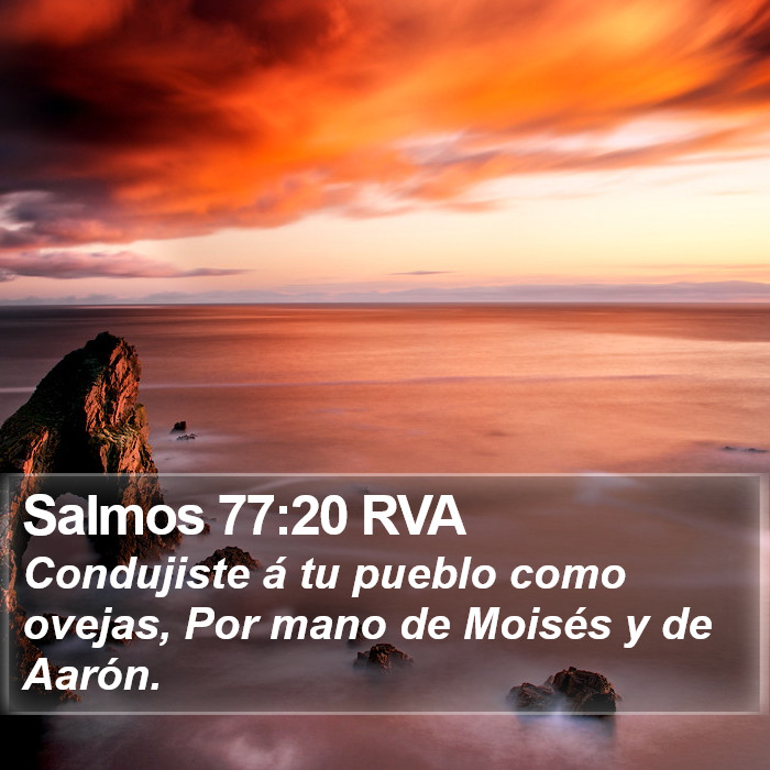 Salmos 77:20 RVA Bible Study