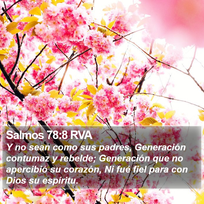 Salmos 78:8 RVA Bible Study