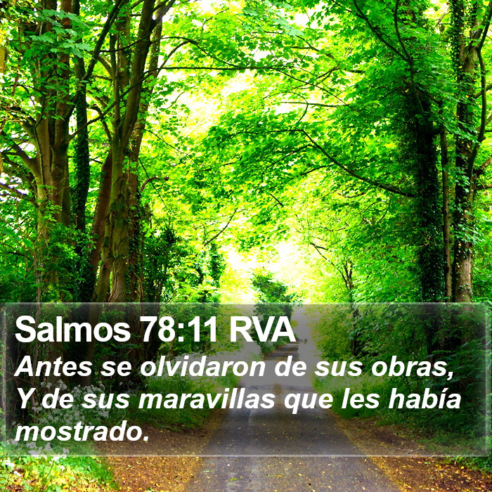 Salmos 78:11 RVA Bible Study