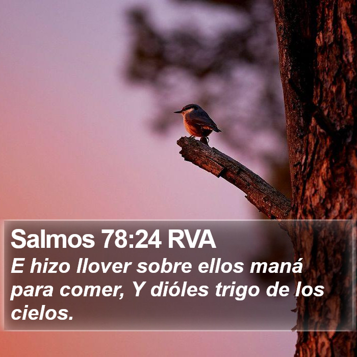 Salmos 78:24 RVA Bible Study