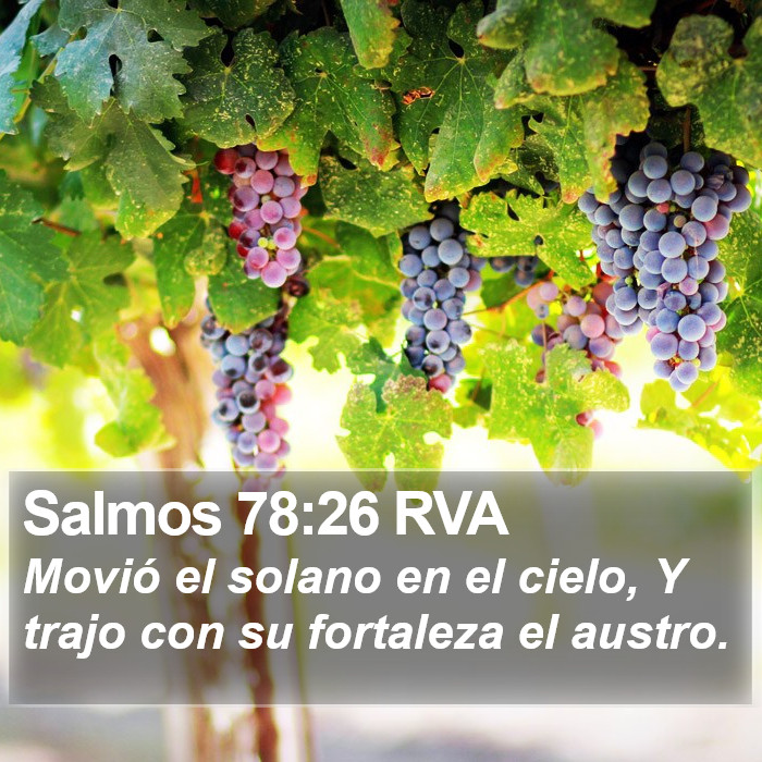 Salmos 78:26 RVA Bible Study