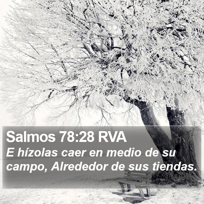 Salmos 78:28 RVA Bible Study