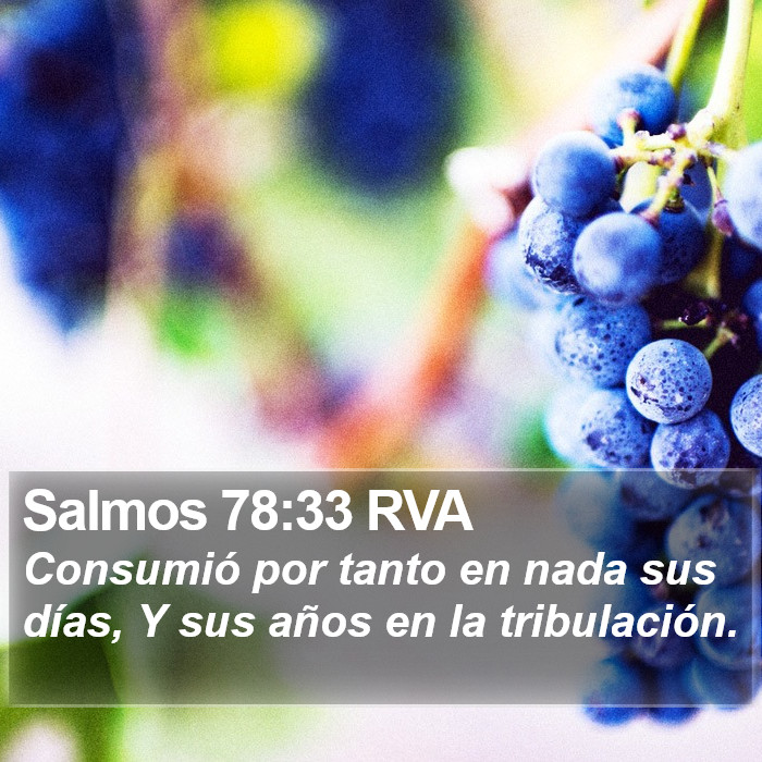 Salmos 78:33 RVA Bible Study