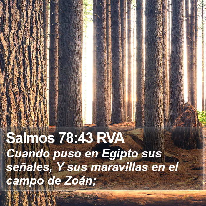 Salmos 78:43 RVA Bible Study