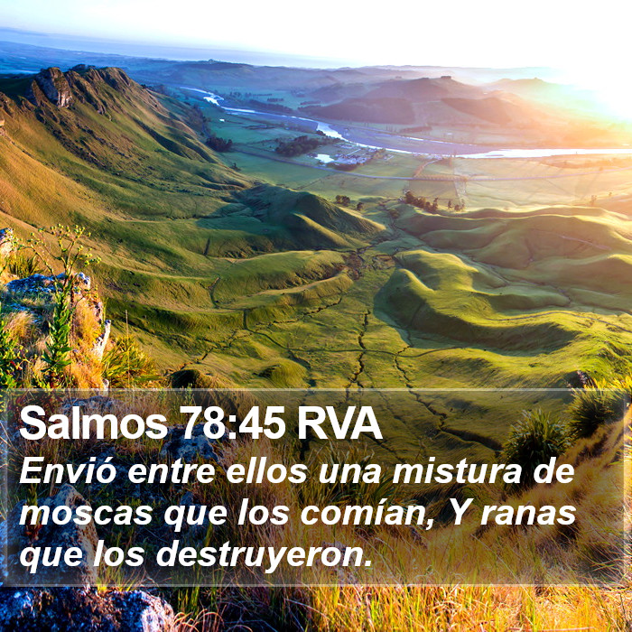 Salmos 78:45 RVA Bible Study