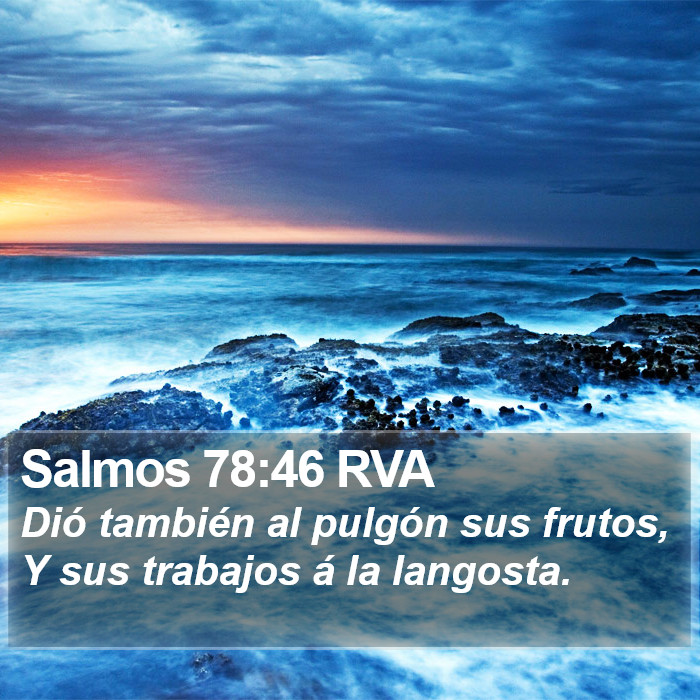 Salmos 78:46 RVA Bible Study