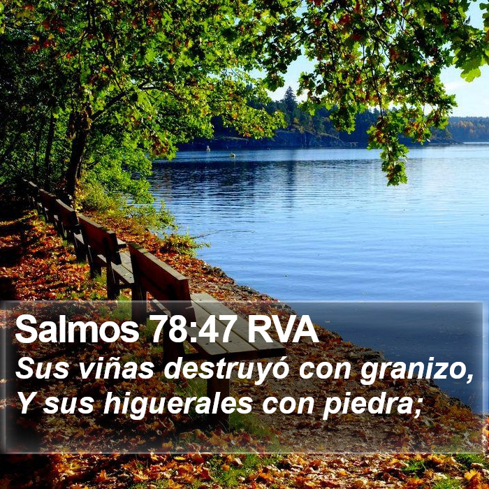 Salmos 78:47 RVA Bible Study