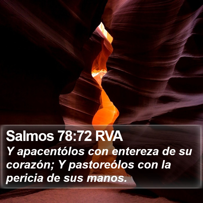 Salmos 78:72 RVA Bible Study