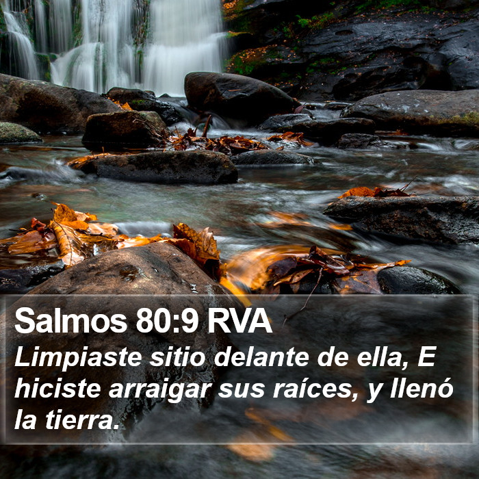 Salmos 80:9 RVA Bible Study