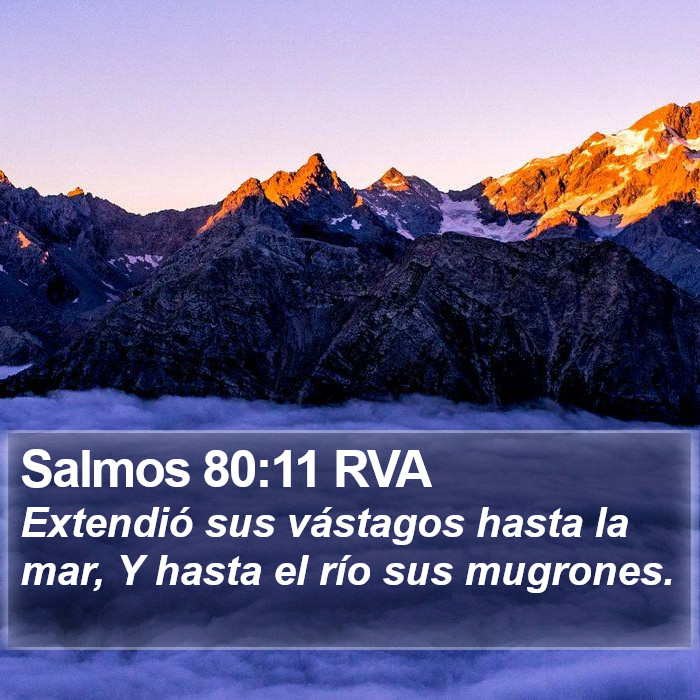 Salmos 80:11 RVA Bible Study