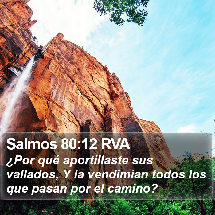 Salmos 80:12 RVA Bible Study