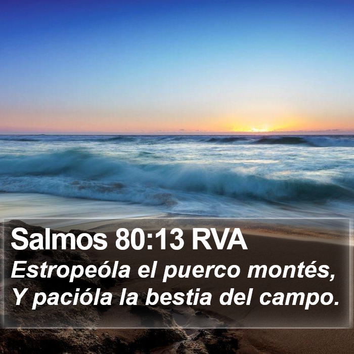 Salmos 80:13 RVA Bible Study