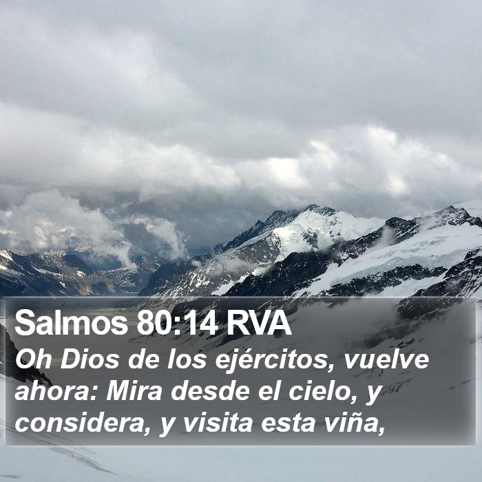 Salmos 80:14 RVA Bible Study