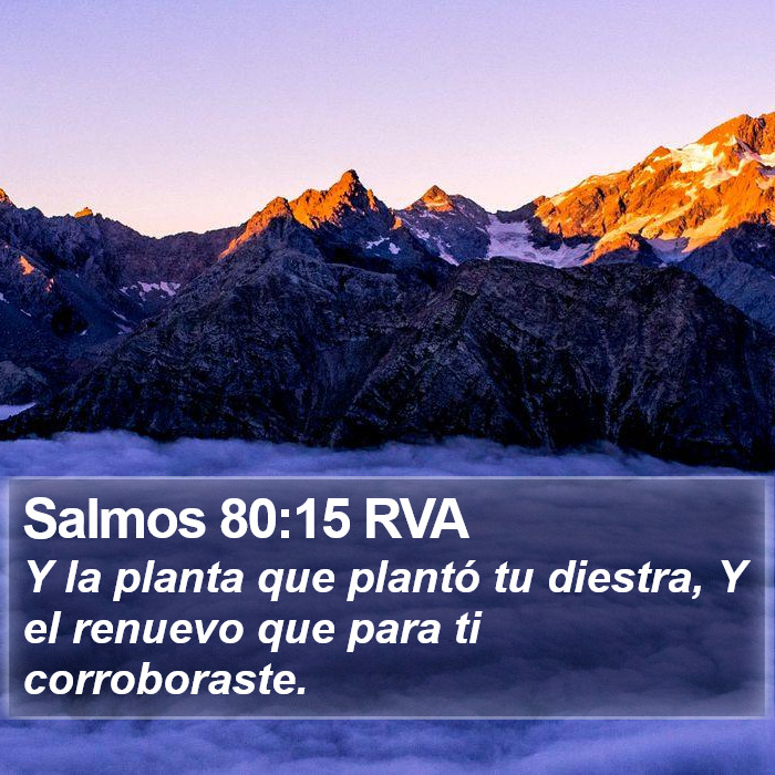 Salmos 80:15 RVA Bible Study