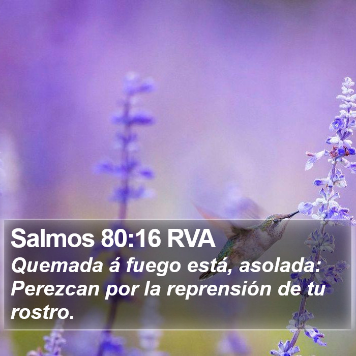 Salmos 80:16 RVA Bible Study