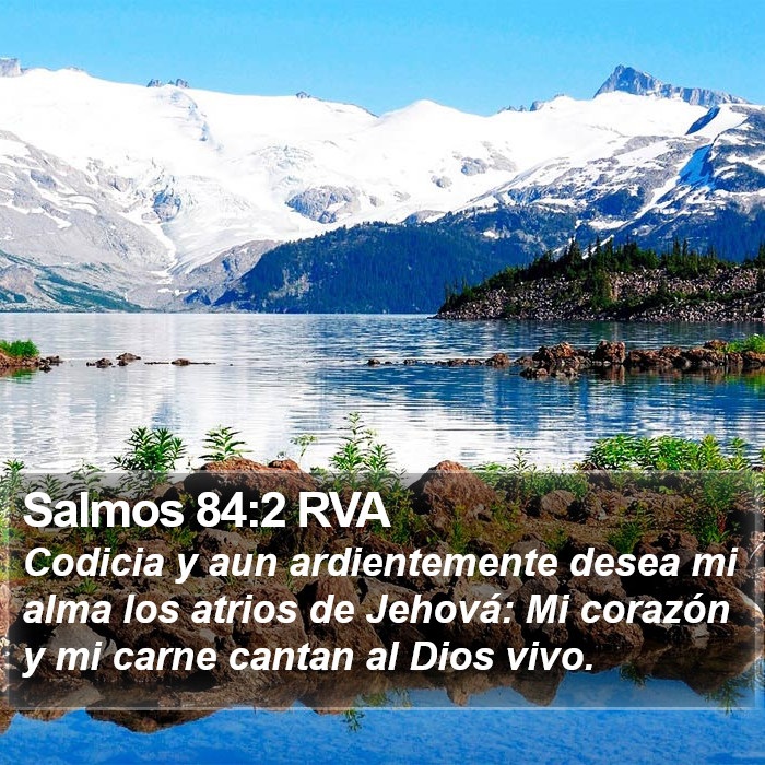 Salmos 84:2 RVA Bible Study