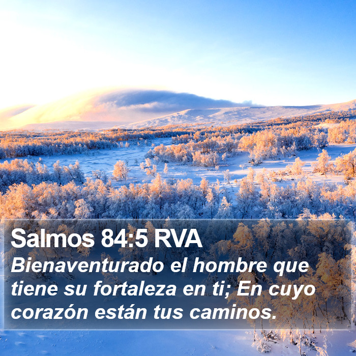 Salmos 84:5 RVA Bible Study