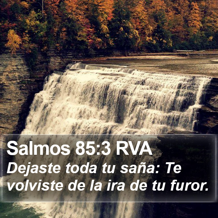 Salmos 85:3 RVA Bible Study
