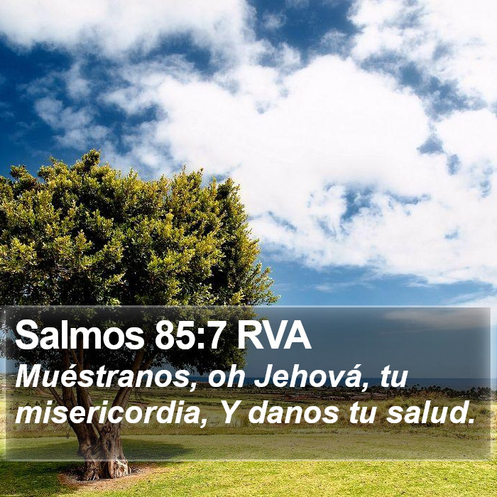 Salmos 85:7 RVA Bible Study