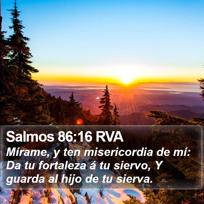 Salmos 86:16 RVA Bible Study