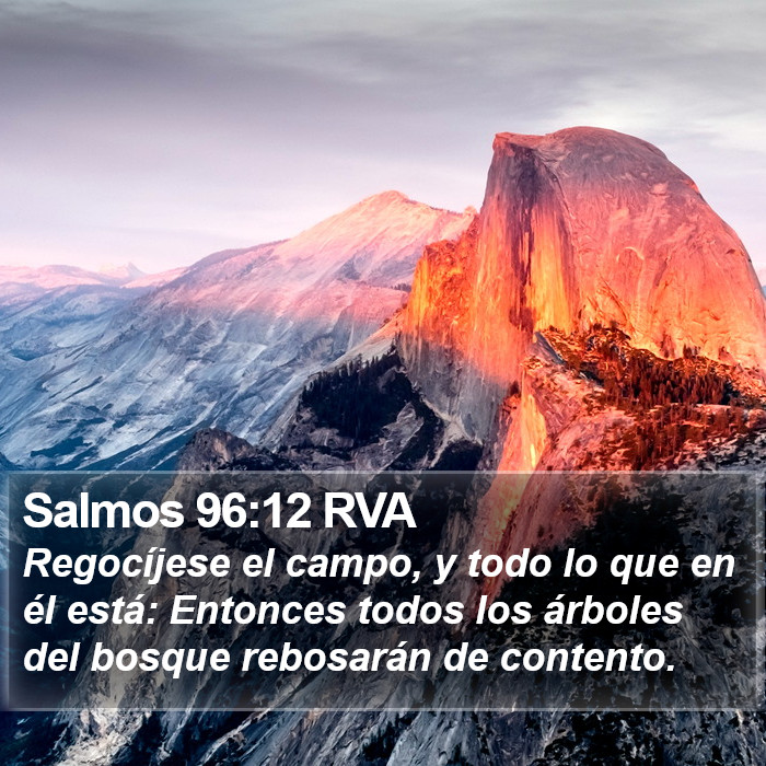 Salmos 96:12 RVA Bible Study