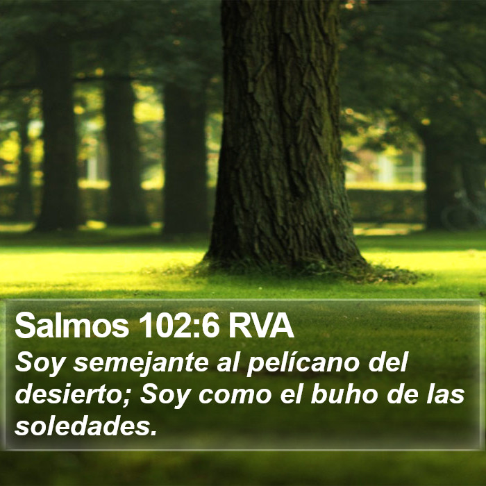 Salmos 102:6 RVA Bible Study