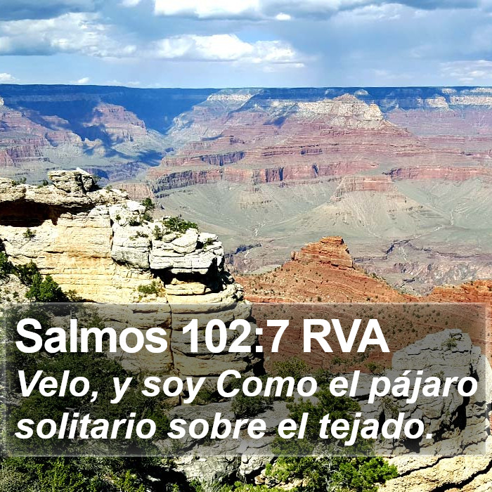 Salmos 102:7 RVA Bible Study