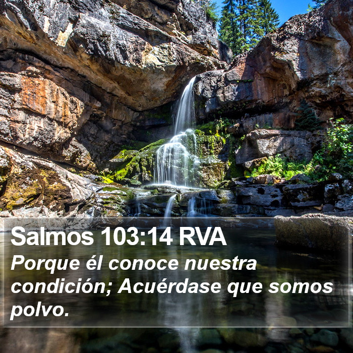 Salmos 103:14 RVA Bible Study