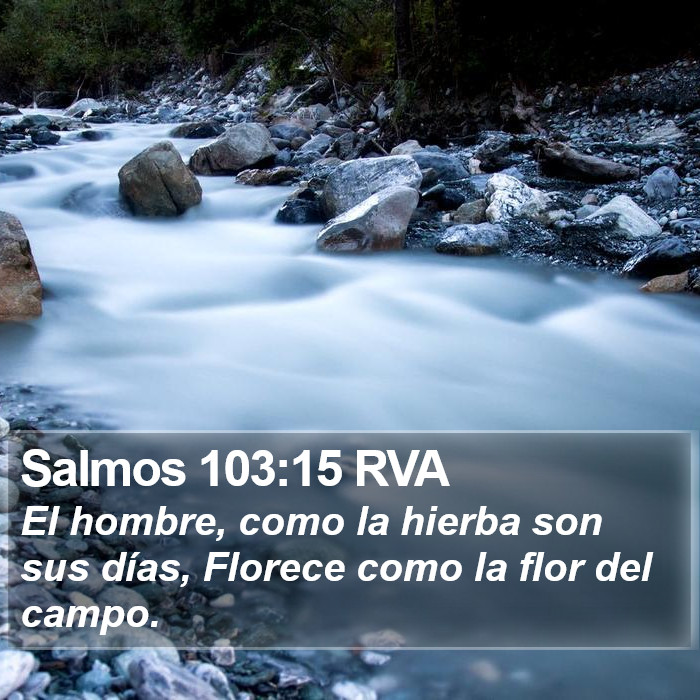 Salmos 103:15 RVA Bible Study