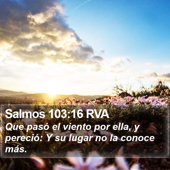 Salmos 103:16 RVA Bible Study