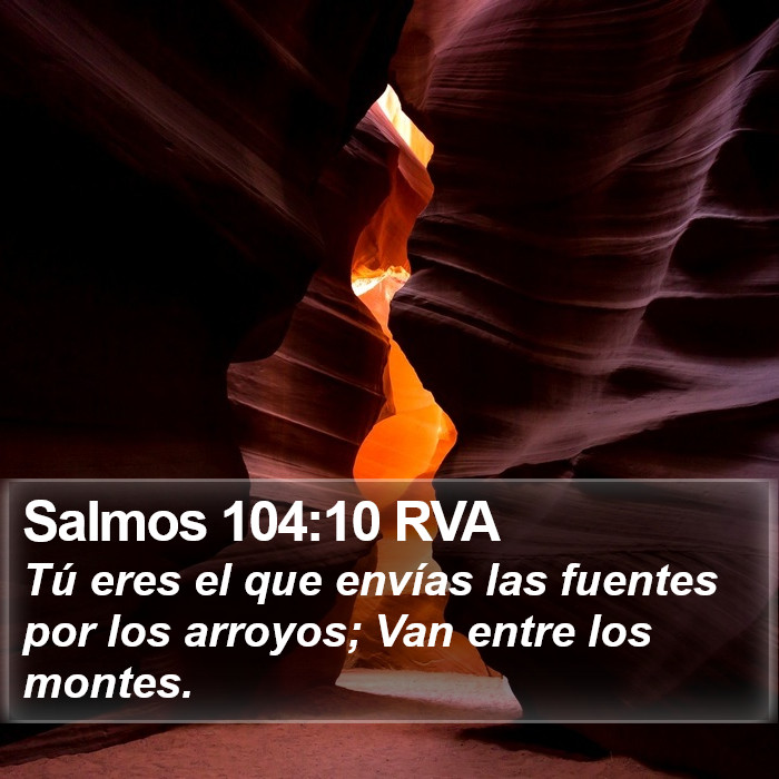 Salmos 104:10 RVA Bible Study