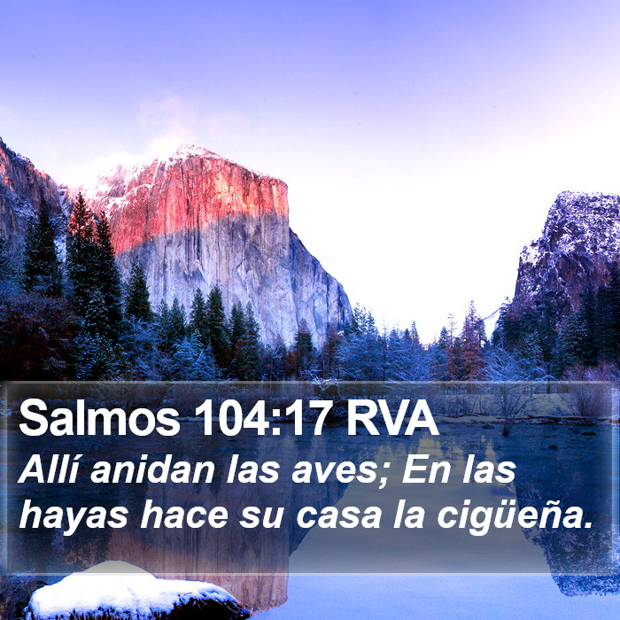 Salmos 104:17 RVA Bible Study