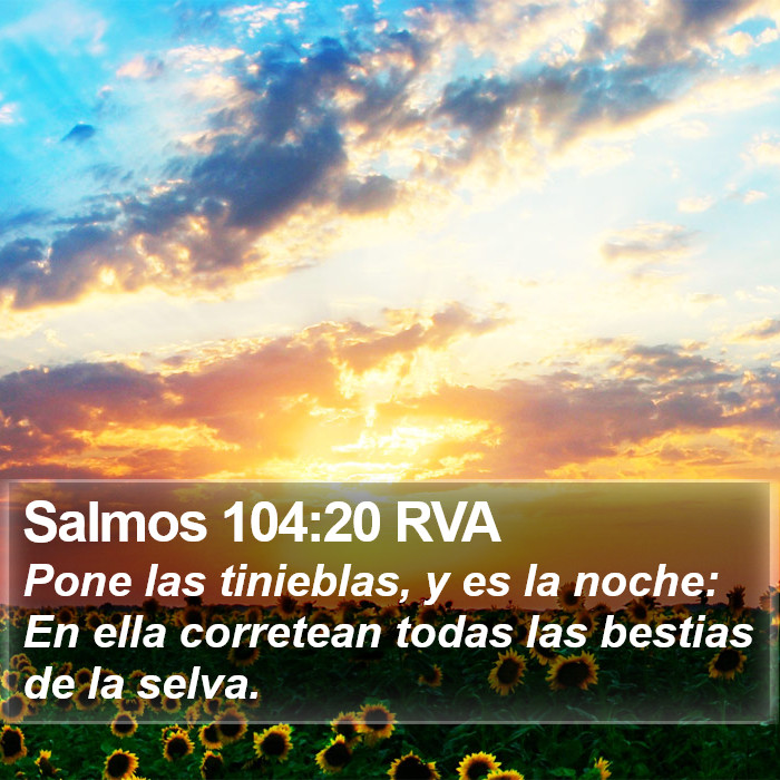 Salmos 104:20 RVA Bible Study