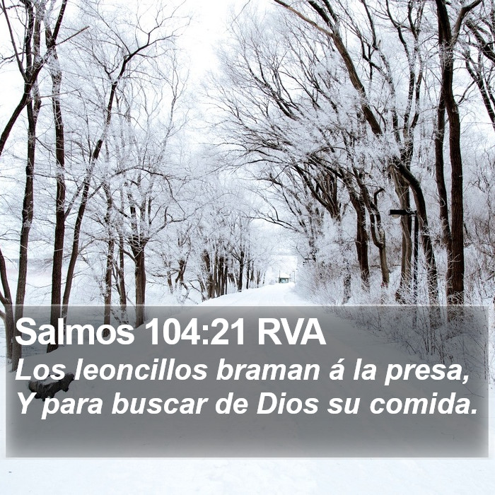 Salmos 104:21 RVA Bible Study