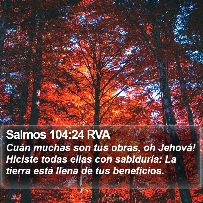 Salmos 104:24 RVA Bible Study