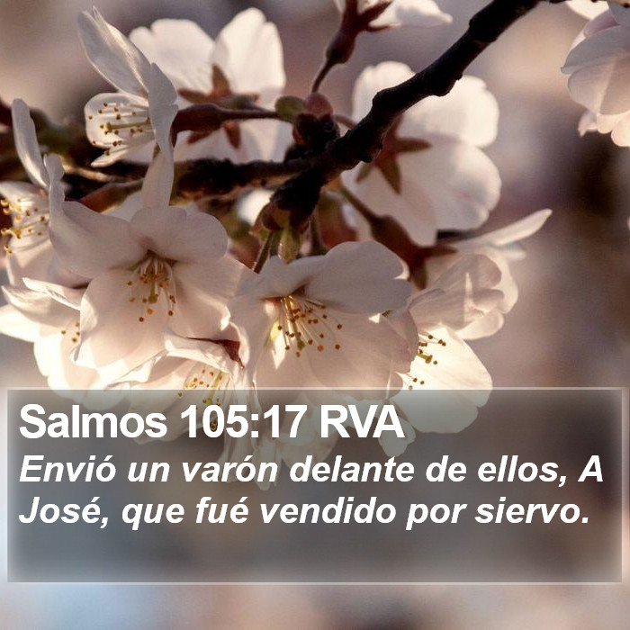 Salmos 105:17 RVA Bible Study