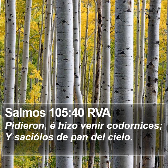 Salmos 105:40 RVA Bible Study