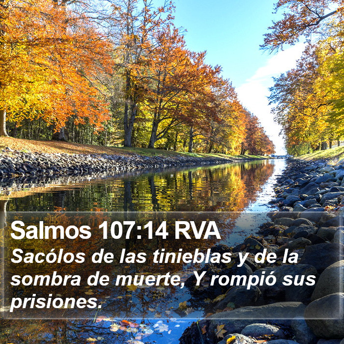 Salmos 107:14 RVA Bible Study